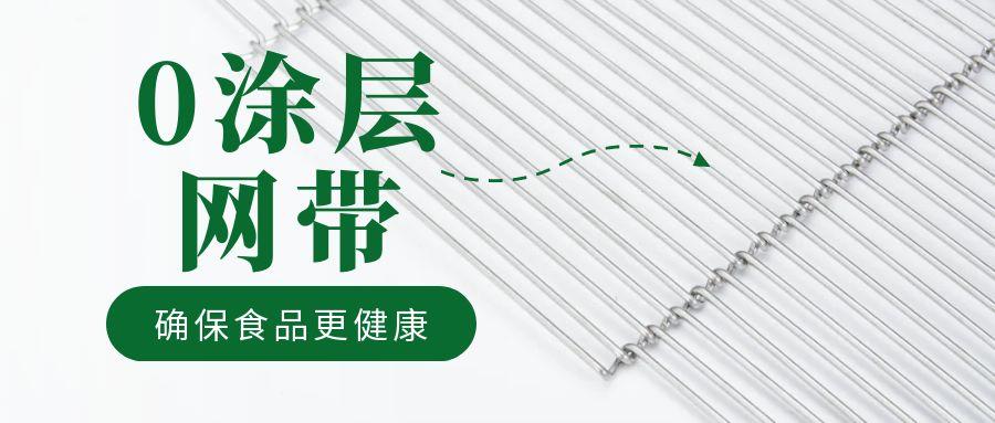 油炸機(jī)網(wǎng)帶“0 涂層”工藝，確保食品更健康