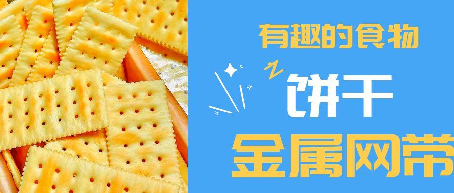 【有趣的食物】餅干到底用到多少金屬網(wǎng)帶？